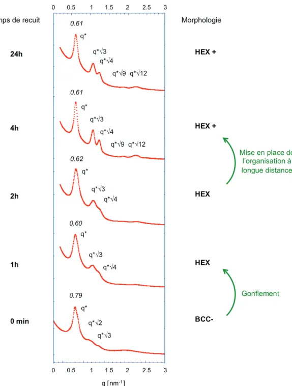 Figure II.20. Evolution au cours du temps des spectres SAXS du MH-b-PS lors du recuit sous solvant Eau  50% / THF 50%