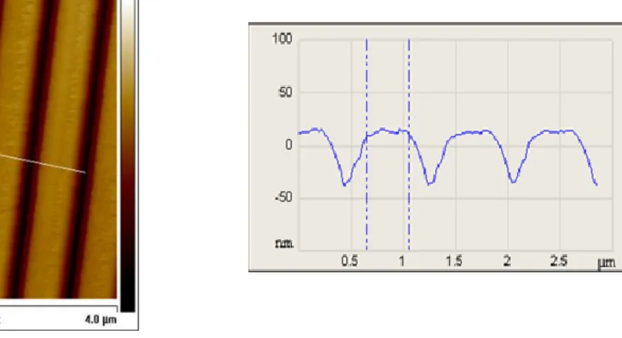 Figure  I-9.  Profil  représentant  la  forme  de  la  pointe  utilisée  par  un  CD-AFM  de  type  CDR120  nm  (Critical  Dimension re-entrant profile) [ELK10] 