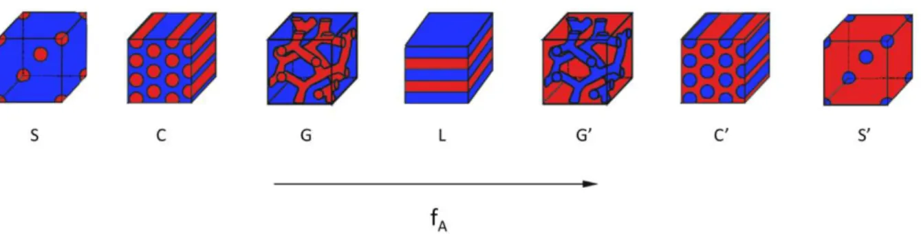 Fig. I.8 : Représentation schématique des phases obtenues avec un copolymère di-bloc linéaire en fonction de la fraction en  comonomère A