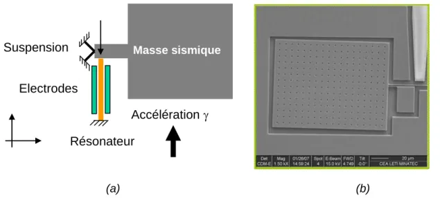 Figure 1. Schéma (a) et image MEB (b) d'un accéléromètre M/NEMS soumis à une accélération  constante ou variable 