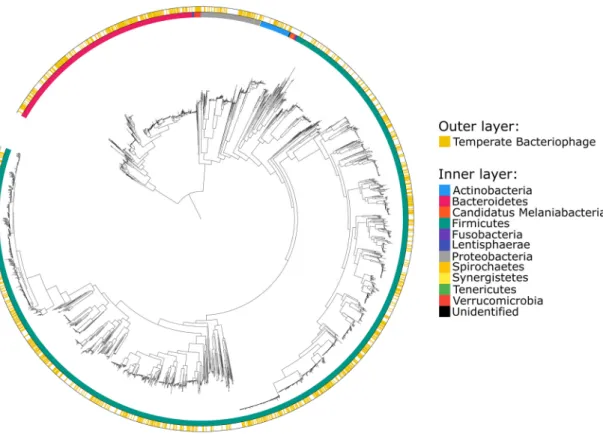 Figure 2. Phylogenetic tree based on a comprehensive collection of reconstructed bacterial genomes