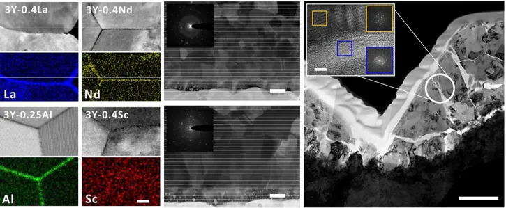 Fig. 3. (a) Dopant-specific grain boundary decoration in 3Y-TZP (3 mol% yttria-stabilized tetragonal polycrystalline  zirconia)