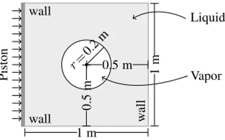 Figure 2. Geometry of test “Compression of a Vapor Bubble”