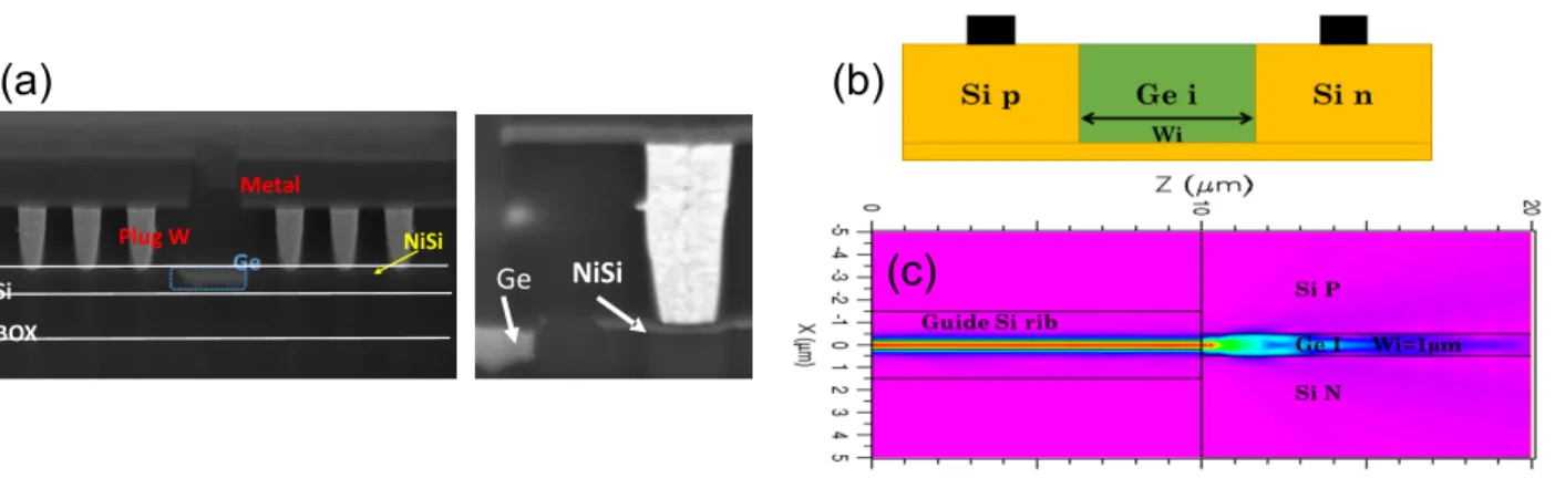 Fig. 1: (a) Cross-sectional SEM image of a fabricated Si/Ge/Si heterojunction based diode, (b) Schematic view of  the diode