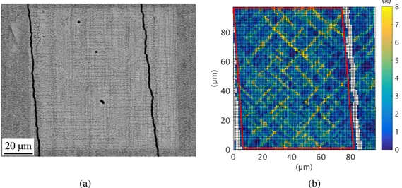 Figure 8 – (a) Image de la microgrille traversée par deux fissures transversales. (b) Cartographie de la déformation à la surface du revêtement selon la direction de traction, à la dernière interruption.