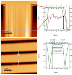 Figure 14. AFM images and measurement of relative vertical position of fixed and  released structures,  for sticking problem evaluation 