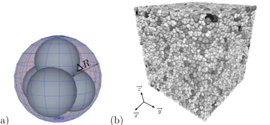 Figure 1: (a) Geometry of regular aggregate. (b) Map of particles pressure at the end of isotropic state for η = 0.4