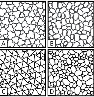 FIGURE 2. Snapshots of the simulated packings in the dens- dens-est isotropic state.