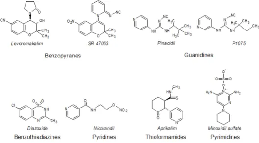 Figure 1.19 – Formules chimiques de quelques ouvreurs potassiques agissant sur le canal K AT P .