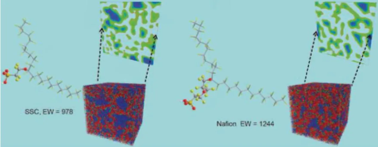 Figure 1.25 – Microstructure d’une SSC et du Nafion obtenus par la m´ethode DPD [26].