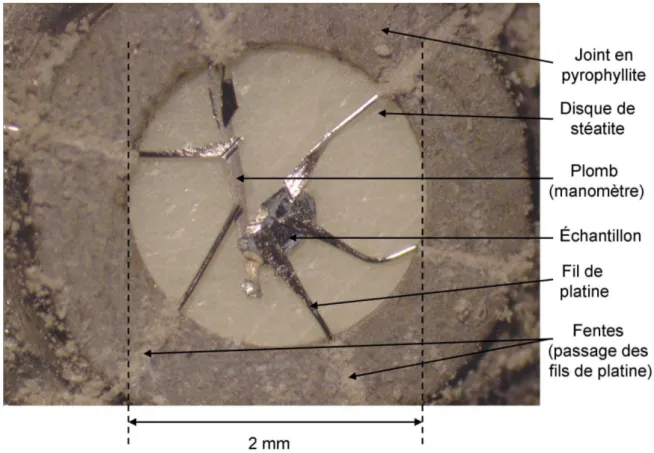 Fig. 1.2: Cellule Bridgman avec des enclumes en carbure de tungst` ene. Les contacts sont r´ ealis´ es en posant directement les fils de platine sur les ´ echantillons