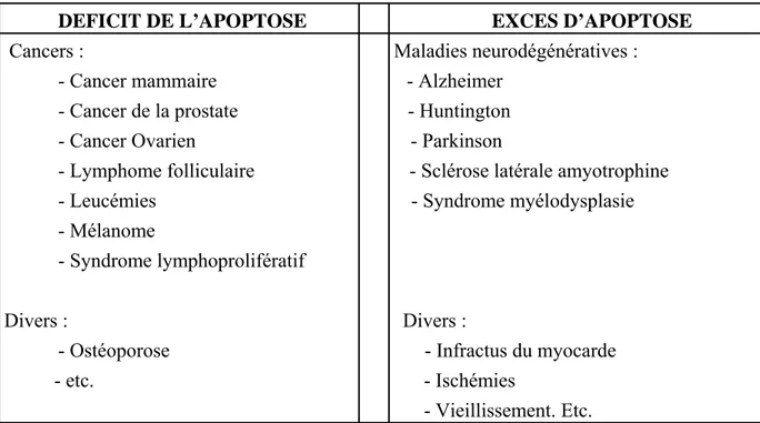 Tableau 1 : Récapitulatif des effets biologiques du déficit et de l’excès d’apoptose  