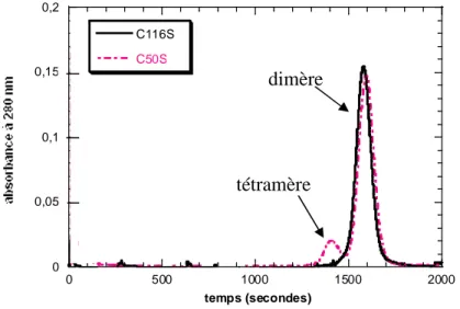Figure  I-6 :  profils  d’élution  obtenus  lors  de  chromatographies  sur  Superdex-75  analytique  des  protéines  SufA C50S  et SufA C116S  (1 mg) réalisées à un débit de 0,5 mL/min dans le tampon Tris-HCl 50 mM pH 7,5, NaCl  100  mM,  DTT  5    mM