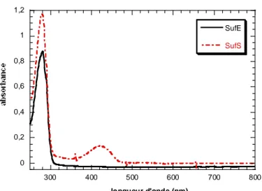 Figure  I-11 :  Spectres  d’absorption  UV-visible  des  protéines  SufE  (40 µM)  et  SufS  (24  µM)  enregistrés  avec  une cuve de 1 cm de trajet optique