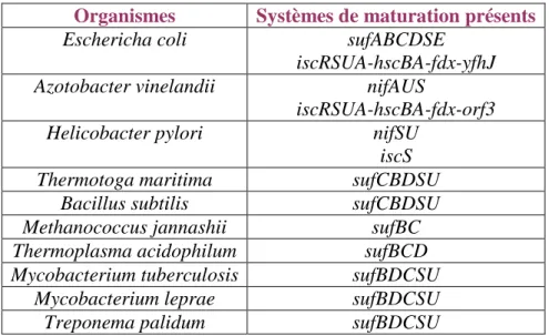 Tableau 4 : Distribution des gènes impliqués dans la biosynthèse des centres [Fe-S] chez différents organismes  procaryotes 