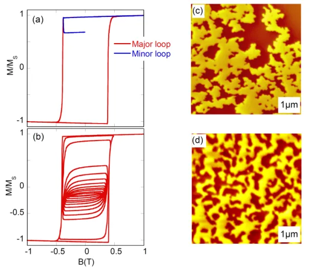 Figure 2.7: (a) Major and minor hysteresis loop of a 10 nm thick FePt thin film, measured by EHE