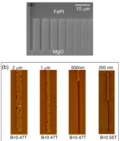 Figure 2.8: (a) SEM image of the nanodevice used for MFM observations, with a nucleation pad connected to wires of various widths, ranging from 2 µ m to 150 nm