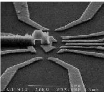 Figure 1.12: A top-view scanning electron micrograph of the double–slit device used in the Schuster–experiment [22]