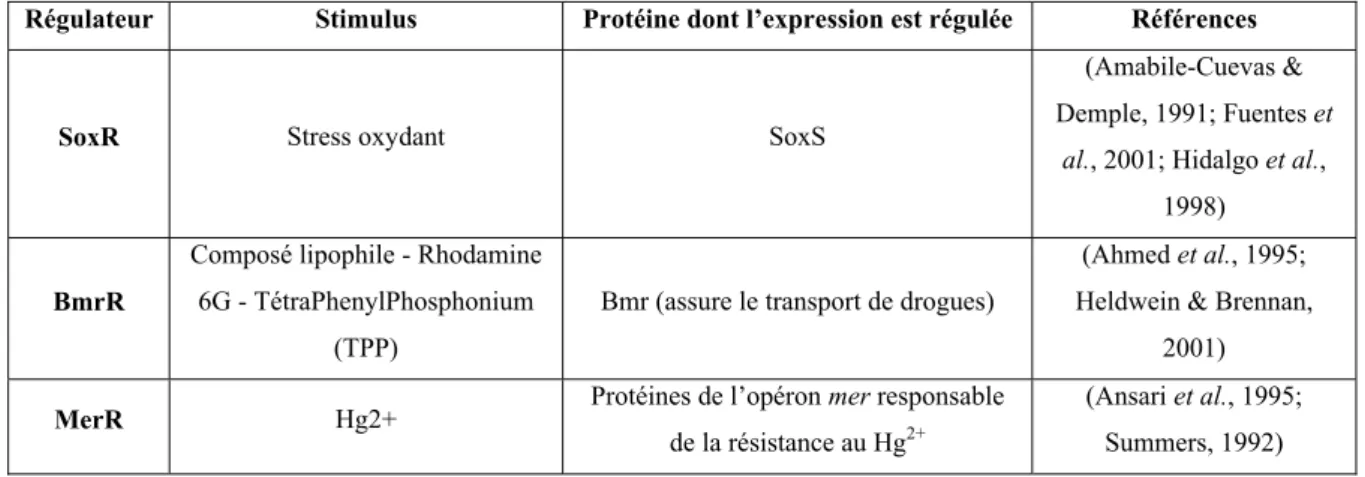 Tableau I-4  Les régulateurs transcriptionnels de la famille MerR qui répondent au stimulus « ions métalliques » 