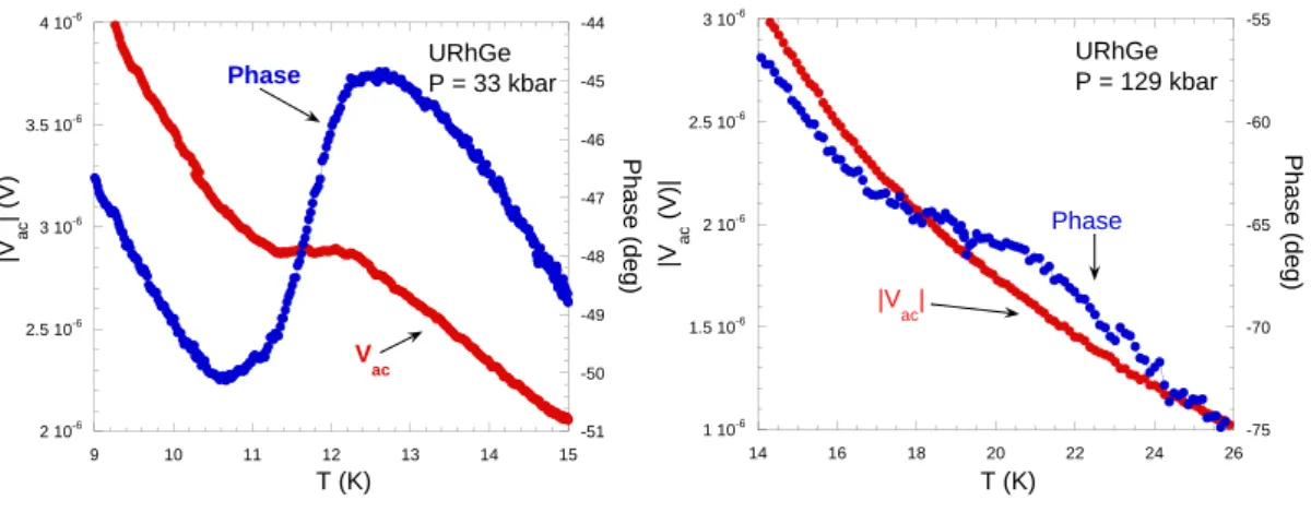Fig. 4.2 – A gauche, dépendance en température des signaux bruts (module et phase) à 33 kbar