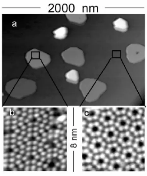 Fig. 1.15 : Image topographique d’ˆılots de Ge sur une surface Si(111) apr` es un d´ epˆ ot de 9MC de Ge