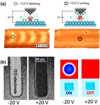 Figure 4.8 – (a) From Hsu et al. 71 : Writing and deletion of individual magnetic skyrmions by Spin-Polarized Scanneling Tunneling Microscopy tip (Cr bulk tip) at low temperatures (7.8K) in Ir/Fe bilayer