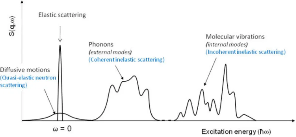 Figure 1.1.2 – Représentation schématique d’un spectre neutronique complet.