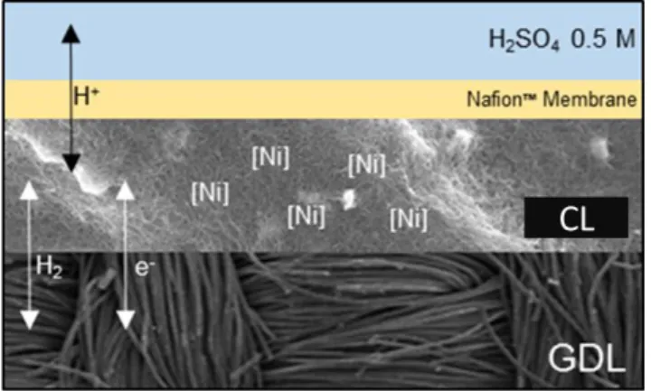 Figure 13.  Schematic representation of a fuel cell anode. GDL is a gas diffusion layer and CL the  catalytic layer