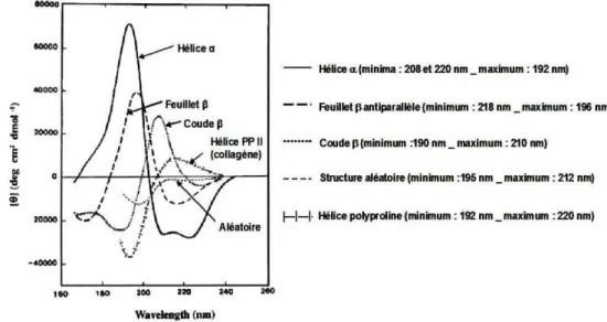 Figure II.4: Spectres CD dans l’UV-lointain de différentes structures secondaires (Kelly et al., 2005) 