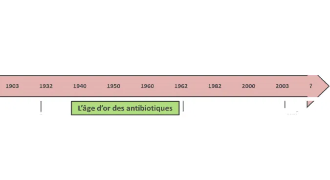 Figure I.1: les principales classes d'antibiotiques et leurs dates de découverte. Adapté à partir de la  revue (Choffnes et al., 2010)