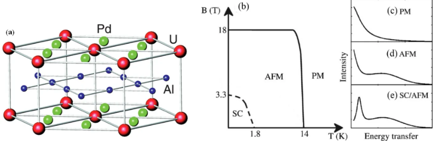 Figure 1.8 – (a) : Structure cristallographique de UPd 2 Al 3 . (b) : Sch´ ema du diagramme (B,T) de phase de UPd 2 Al 3 