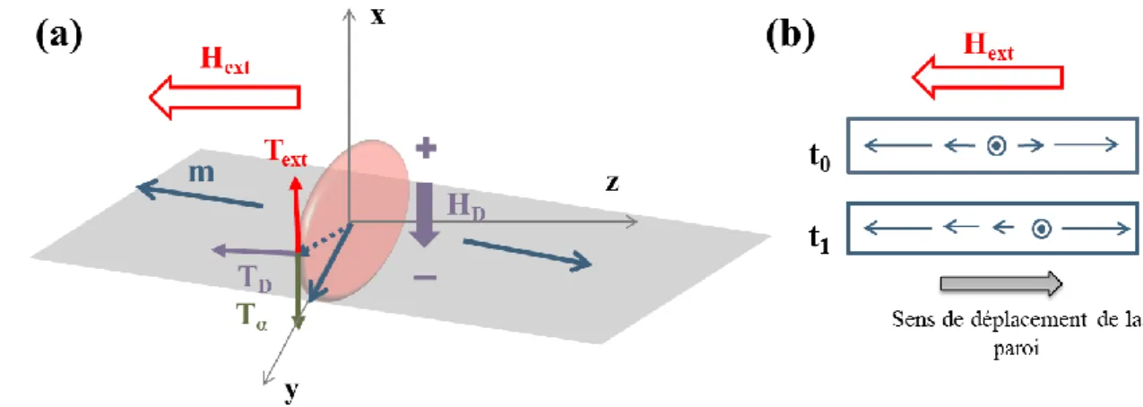 Figure  I.7  :  (a)  Représentation  des  couples  agissant  sur  une  paroi  transverse  en  présence  d’un  champ  magnétique extérieur
