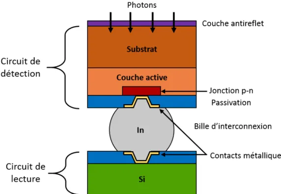 Figure 1.5 – Schéma d’un pixel d’une matrice de détection infrarouge d’une technologie photodiode intrinsèque.