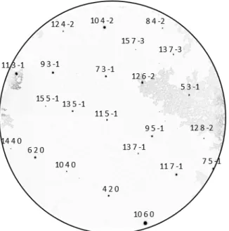 Figure 1.25 – Image de microdiffraction Laue sur une couche de HgCdTe en coupe, avec les plans (hkl) indéxés.