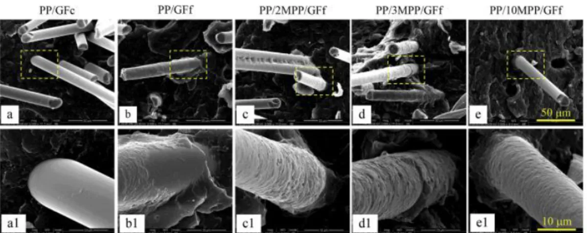 Figure 1.6. SEM micrographs representing the interfacial adhesion between GF and PP matrix for PP/GFc (a,  a1), PP/GFf (b, b1), PP/2MPP/GFf (c, c1), PP/3MPP/GFf (d, d1) PP/10MPP/GFf (e, e1)