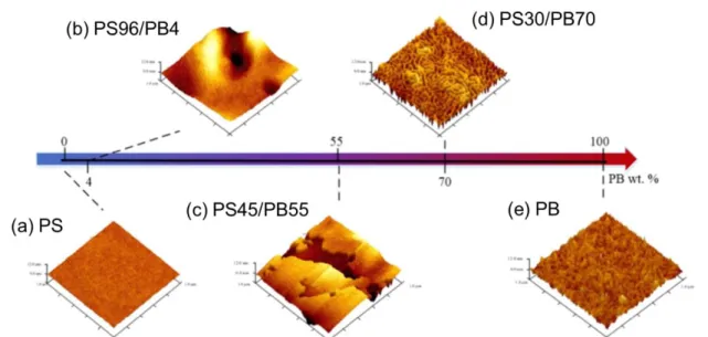 Figure 1.11. AFM topographic images on the membrane’s surface of (a) PS, (b) PS96/PB4, (c) PS45/PB55, (d)  PS30/PB70 and (e) PB