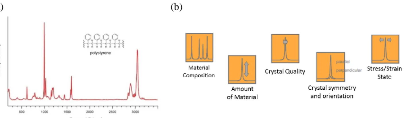 Figure  2.8.  (a)  Raman  spectrum  of  Polystyrene  (b)  schematic  representation  of  different  chemical  and  structural information issued from the interpretation of Raman spectra