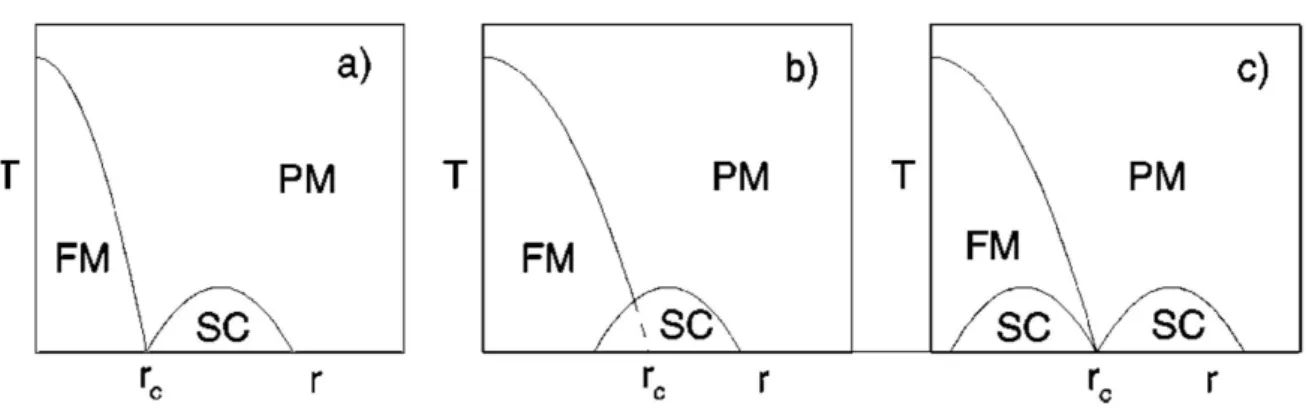 Figure 1.6 Different scenarios when existence of superconductivity close to a magnetic instability.