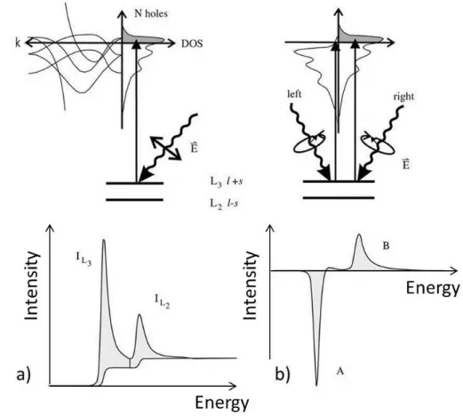 Figure 3.14 Sketch of the principle of XMCD measurements for the L-edge (corresponding to the d-electrons)