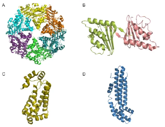 Figure 1.17: known structures of  : known structures of  : known structures of  : known structures of  cag cag cag cag  proteins