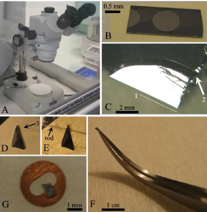 Figure 4.1: Different steps to prepare a cleaved sample (A) Preparation of the setup: an optical micro- micro-scope inside a fume cupboard (B) The nanowire substrate (substrate on which nanowires have been grown) is shown glued on a post-it, the nanowires 