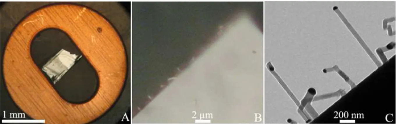 Figure 4.2: An example of a cleaved specimen (A) Optical microscope image of the nanowire stubstrate attached to the TEM grid (B) Optical microscope image showing the nanowires near the cleaved edge (C) TEM BF image (lorentz lens) showing the nanowires on 