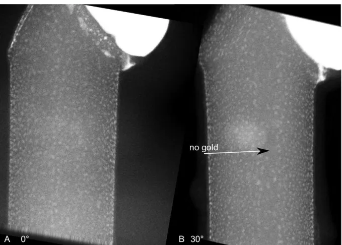 Figure 5.6: STEM images at different tilt settings (extracted from a tomography dataset) of a nanowire grown at 500 ◦ C with 1.023 mbar silane partial pressure