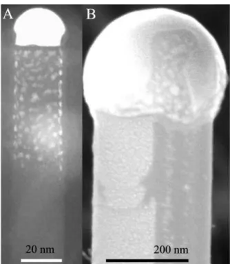 Figure 5.9: The effect of the nanowire size on the gold surface diffusion. Two nanowires are shown with diameters of 25 nm, (a) and 300 nm in (b)