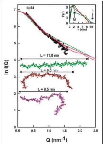 Figure 49 : Courbes d’ajustement de modèles obtenus  par diffusion aux rayons-X dans le cas du modèle avec  un  bon  ajustement  (rouge  et  violet)  et  un  mauvais  ajustement (vert) du modèle dp24 d’HS