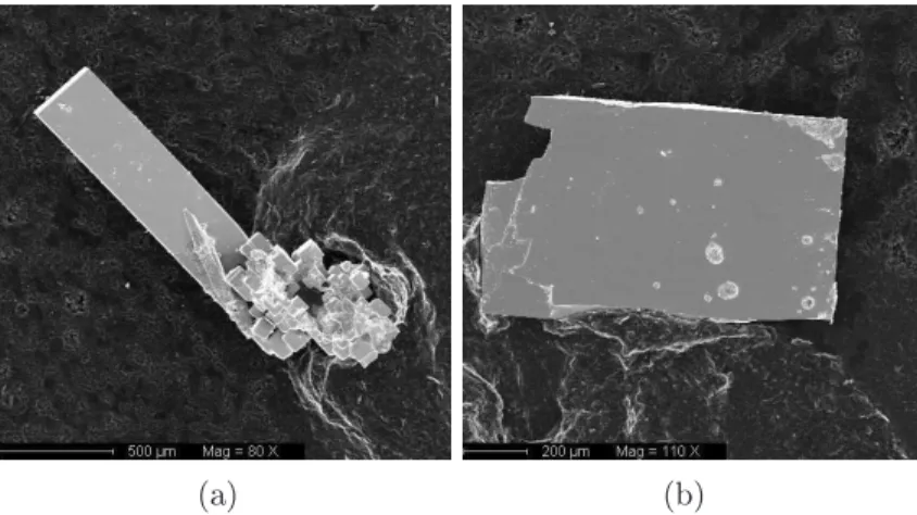 Fig. IV.5: (a) : Image au MEB d'une barrette du lot "L1" (b) : Image au MEB d'un éclat de cube du lot