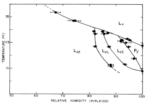 Figure 5.3: Phase diagram of DMPC as a function of temperature and rela- rela-tive humidity [55].