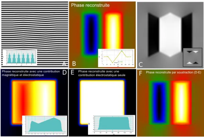 Fig. II.18: Résultats de l’holographie en simulation. A Hologramme obtenu par simulation pour une phase purement magnétique