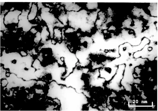 Fig. II.13 : Image en champ sombre des parois d'antiphase dans l'échantillon C-350 :   l'intensité sélectionnée est celle des taches de diffraction (110)