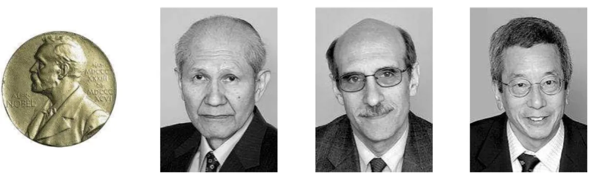 Figure  1.3)  The Nobel  Prize in Chemistry 2008: Osamu Shimomura, Martin Chalfie, Roger  Y